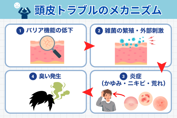 頭皮トラブルのメカニズム 皮脂と水分のアンバランス→バリア機能低下→雑菌繁殖→炎症（かゆみ・ニキビ・荒れ）＋臭い発生